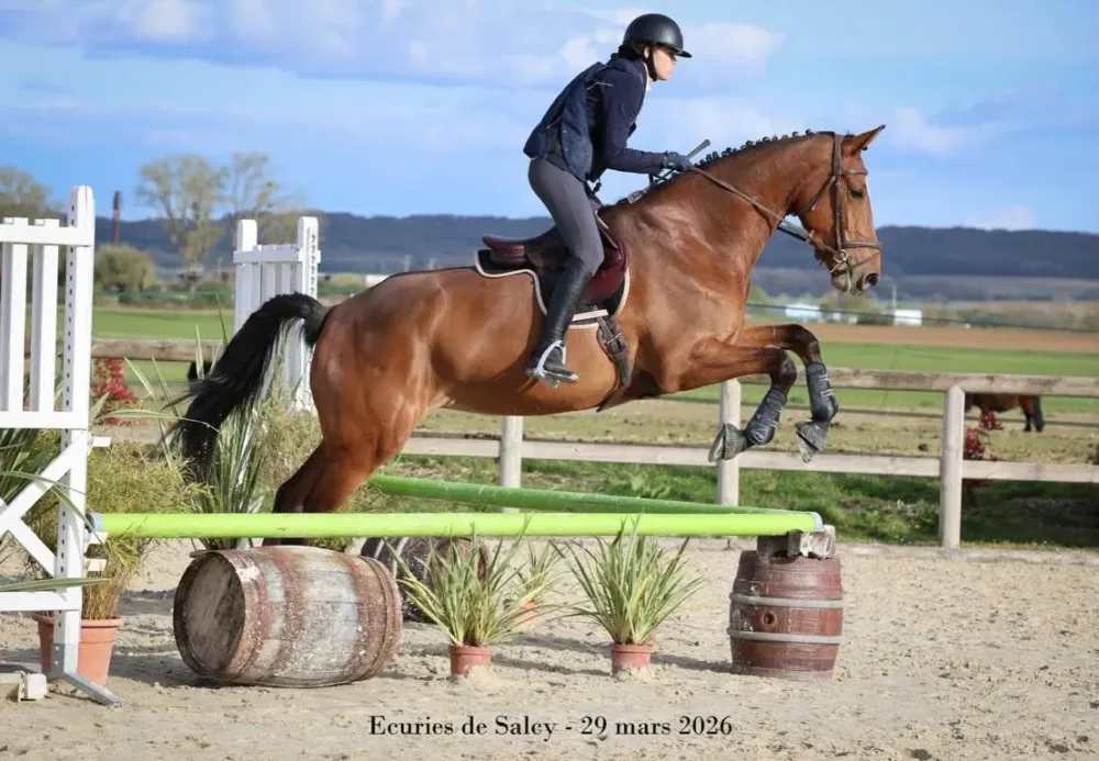concours-saut